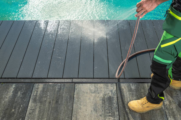 Best Fence Pressure Washing  in Ly Lake, IL