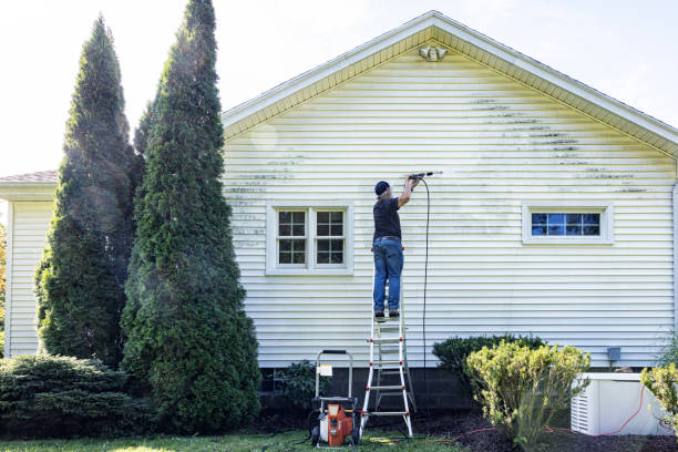 Garage Pressure Washing in Lily Lake, IL