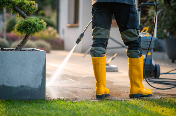 Roof Power Washing Services in Lily Lake, IL